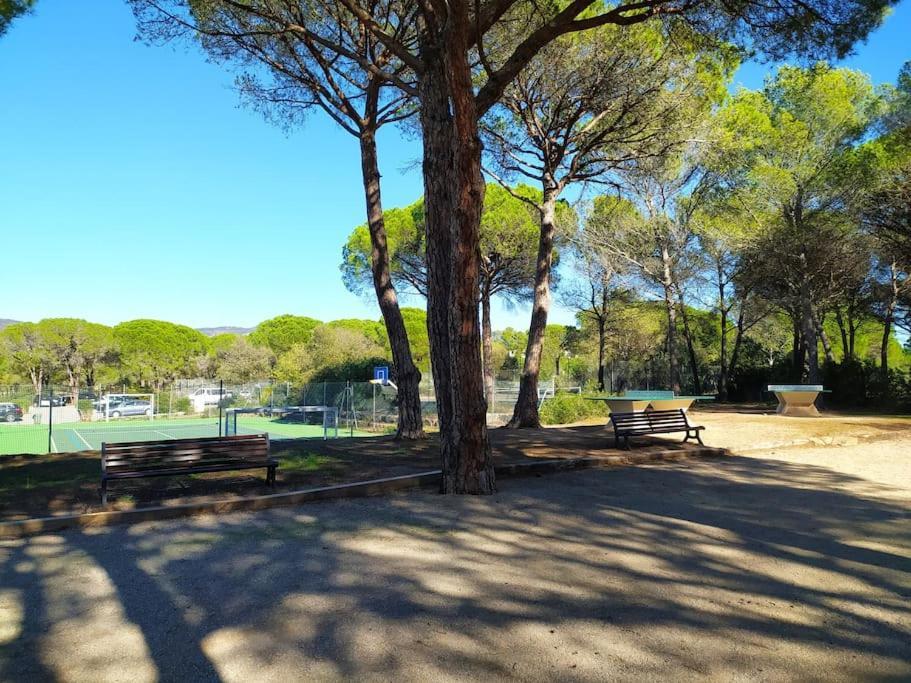 Ideal Saint Raphael Piscine Clim Parking Apartment Екстериор снимка
